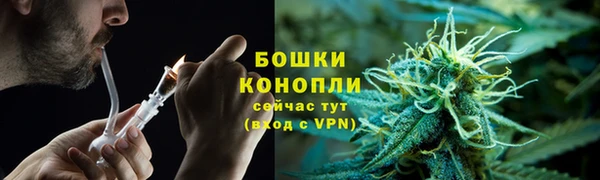 молекула духа Волосово