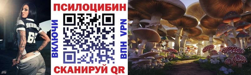 Купить где  Тимашёвск  Галлюциногенные грибы Magic Shrooms 